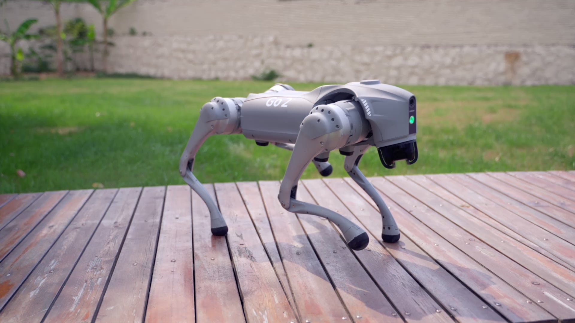 Advanced AI bionic robot dog running dynamically outdoors in Canada
