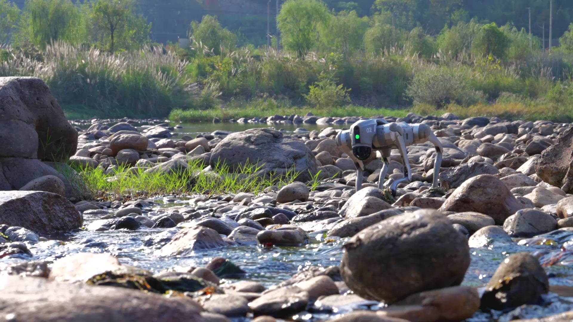 Unitree Go2 bionic robot dog running outdoors Canada