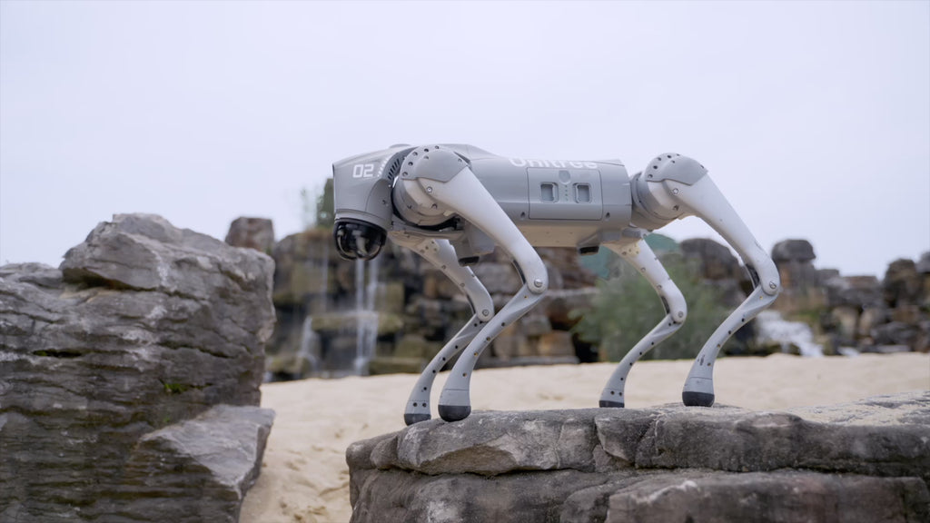 Go2 quadruped robot jumping and performing agility poses