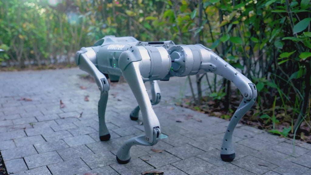 Unitree Go2 4D LiDAR ultra-wide recognition system