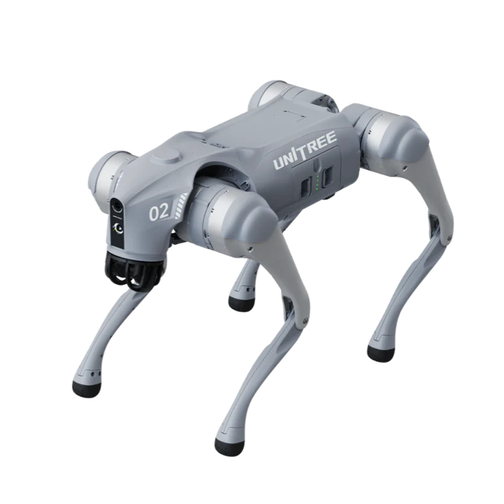 Go2 Bionic Robot Dog